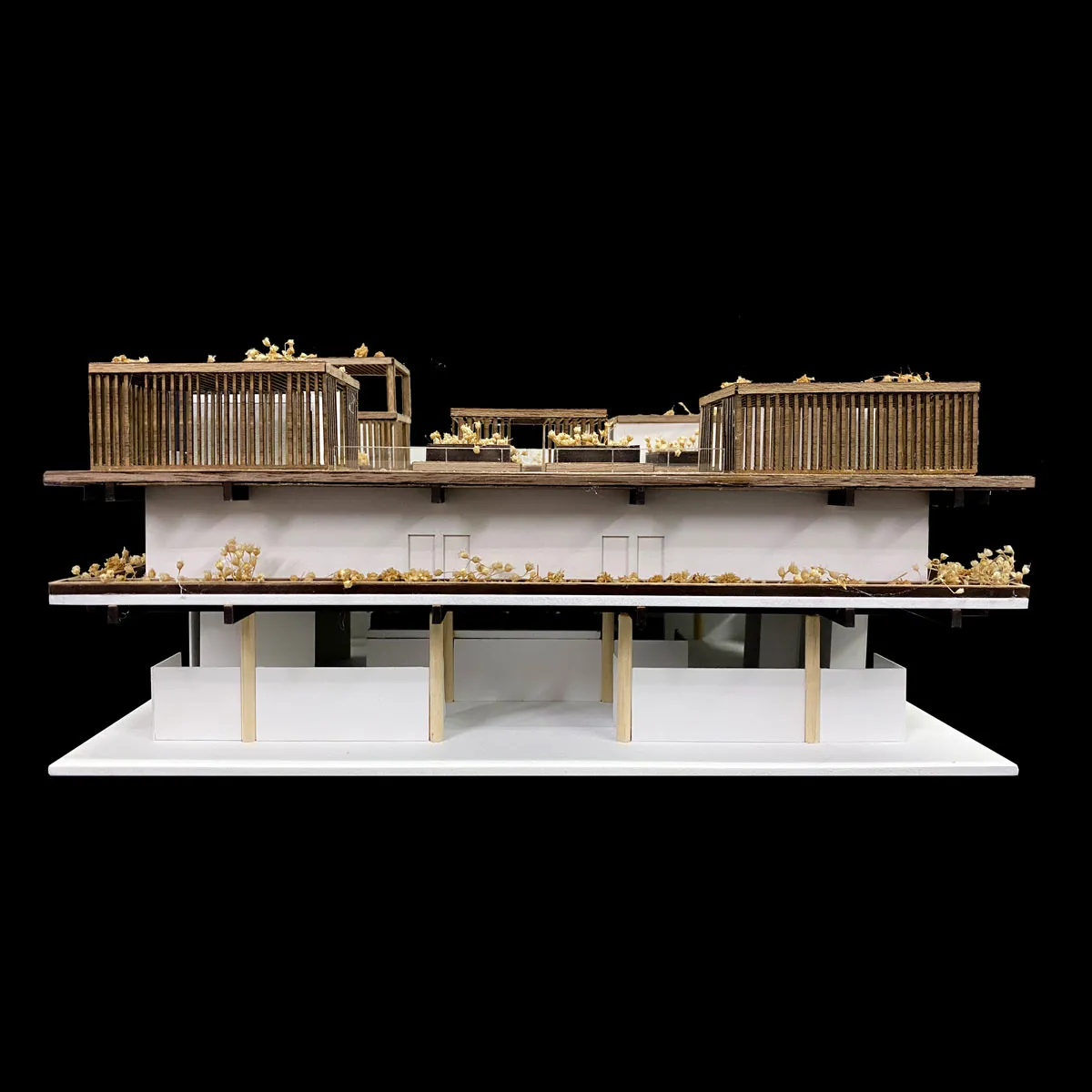 maquetas para concurso
