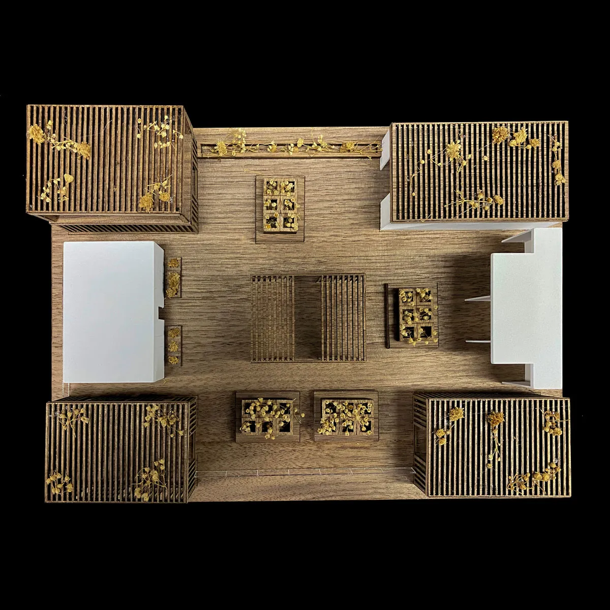 maquetas para concurso