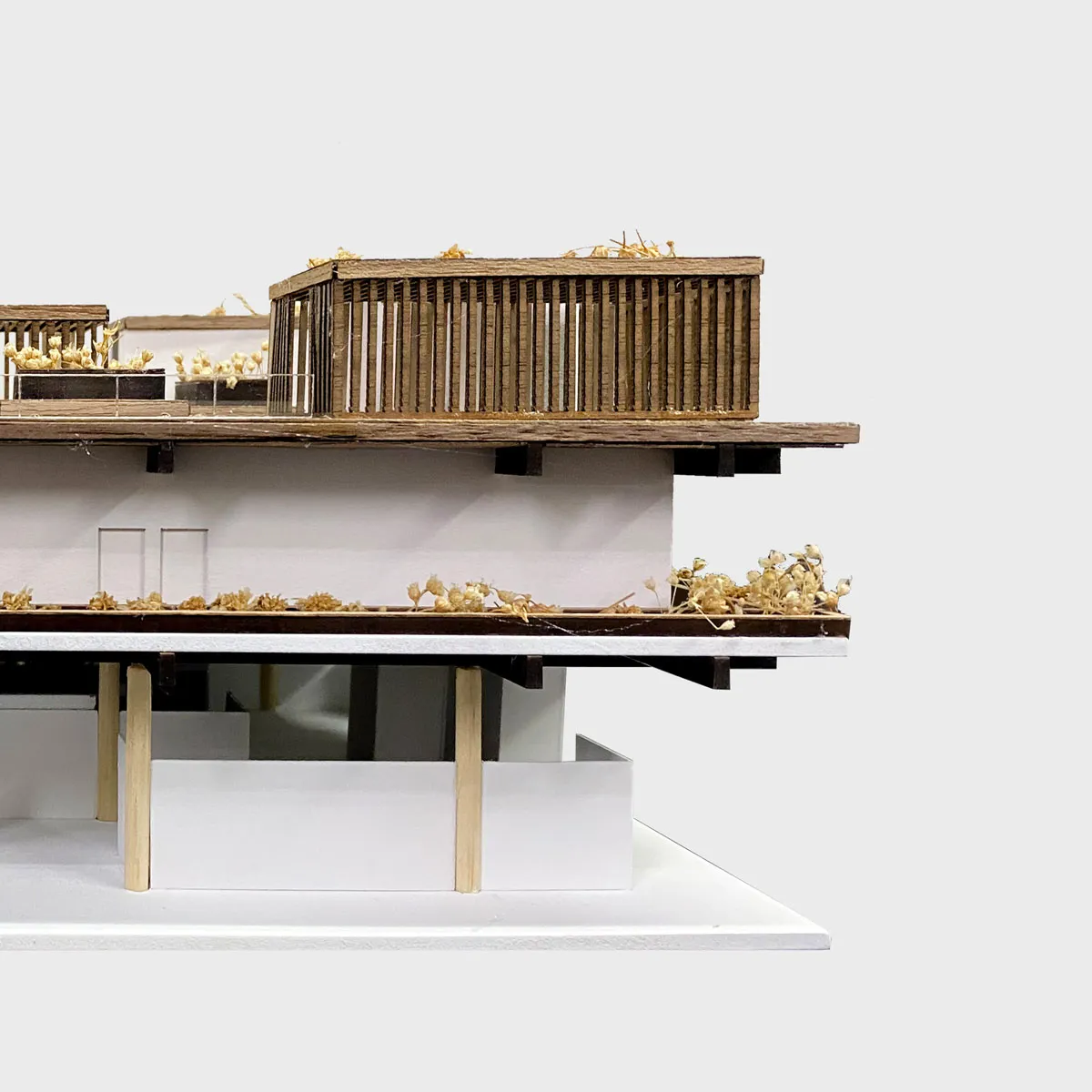 maquetas para concurso