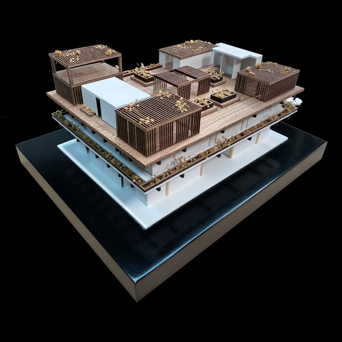 maquetas para concurso